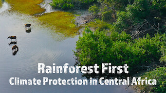 Rainforest First: Climate Protection in Central Africa Rainforest First: Climate Protection in Central Africa Netflix