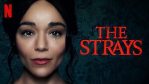 The Strays