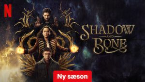 Shadow and Bone