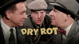 Dry Rot