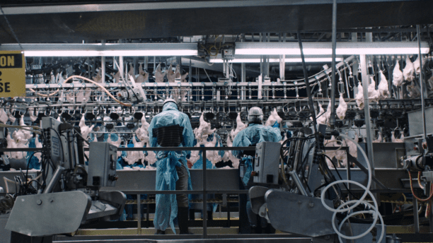 Ny Netflix-dokumentar afslører den beskidte sandhed om vores mad