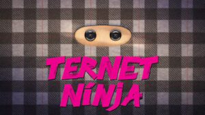 Ternet Ninja