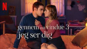 Gennem mit vindue 3: Jeg ser dig
