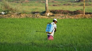 Netflix køber stjernespækket retsalsdrama ‘Monsanto’ for 200 millioner kroner