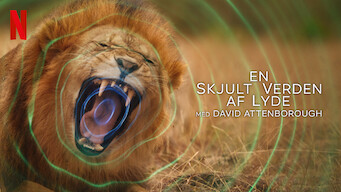En skjult verden af lyde med David Attenborough En skjult verden af lyde med David Attenborough på Netflix