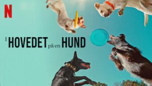 I hovedet på en hund