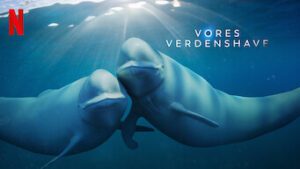 Vores verdenshave