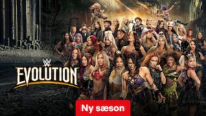 WWE Evolution