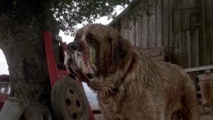 Stephen Kings ‘Cujo’ bliver til ny Netflix-film