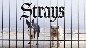 Strays