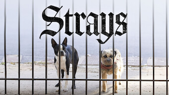 Strays på Netflix