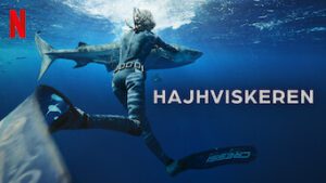 Hajhviskeren
