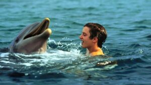 ‘Flipper’: Den elskede klassiker kommer snart på Netflix