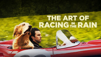 The Art of Racing in the Rain