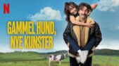 Se serien Gammel hund, nye kunster på Netflix