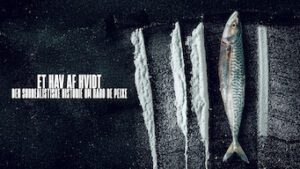 Et hav af hvidt: Den surrealistiske historie om Rabo de Peixe