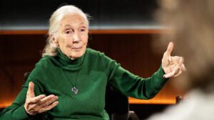 Netflix lancerer ‘Det sidste ord’ med Jane Goodall