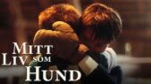 Se serien Mit liv som hund på Netflix
