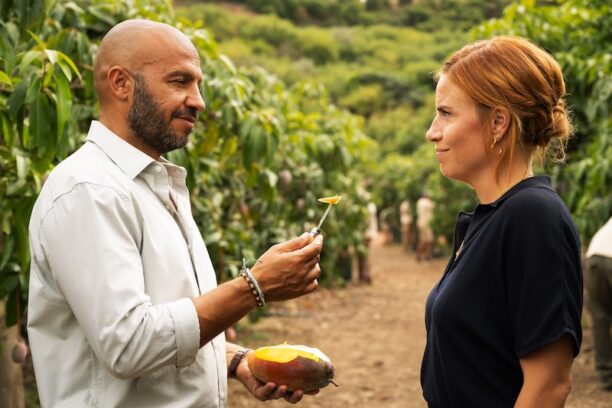 mango dansk netflix mango dansk netflix