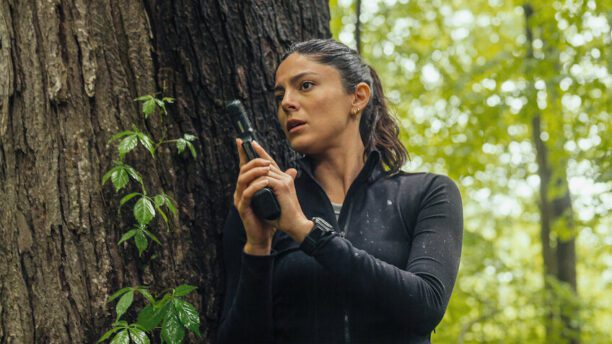 Netflix droppede 18 serier i 2025