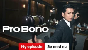Pro Bono