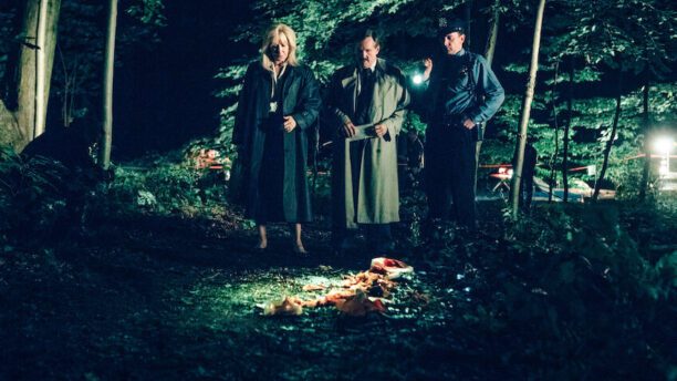 De 5 bedste miniserier fra Netflix