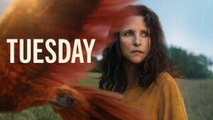 Tuesday