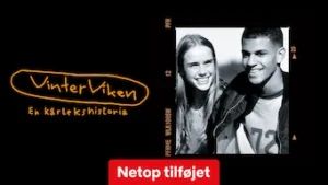 Vinterviken