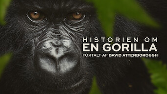 Se serien Historien om en gorilla: Fortalt af David Attenborough på Netflix