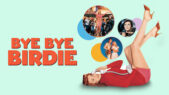 Se serien Bye Bye Birdie på Netflix