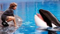 Netflix laver dokumentar om spækhuggeren fra ‘Befri Willy’