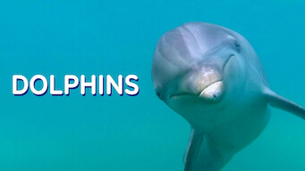 Dolphins