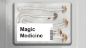 Se serien Magic Medicine på Netflix