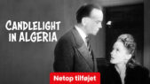 Se serien Det ensomme hus på Netflix