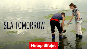 Sea Tomorrow