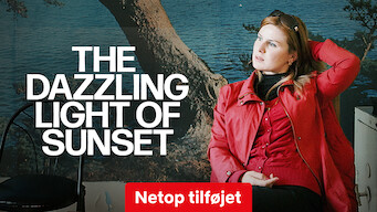 The Dazzling Light of Sunset