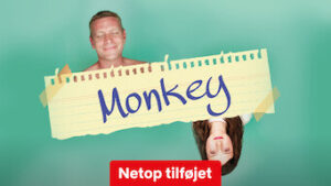 Monkey