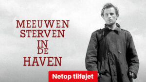 Havmåger dør i havnen