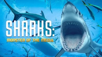 Sharks: Monster Of The Media