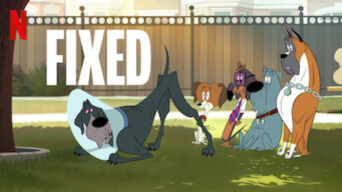 Fixed | Se på Netflix | Flixfilm