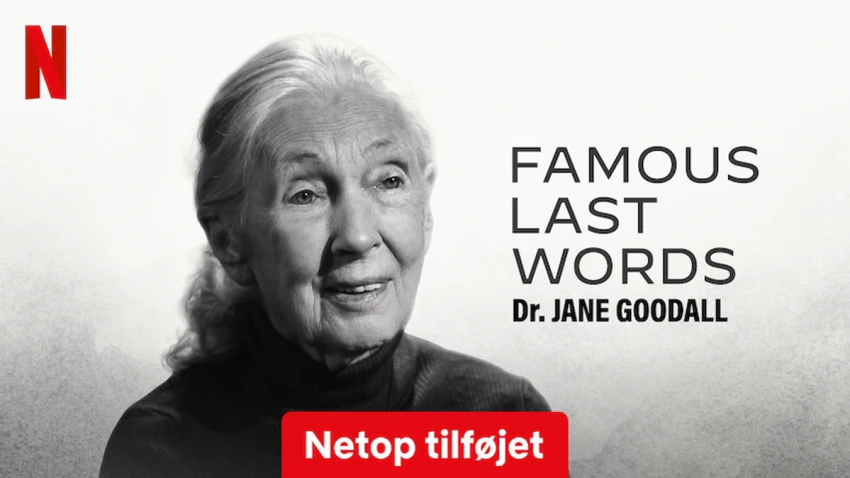 Jane Word Famous Last Words: Dr. Jane Goodall | Se på Netflix | Flixfilm